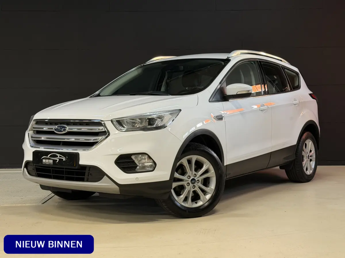 1.5 EcoBoost Titanium | Camera | Afn. trekhaak | Carplay | Keyless | Aut. inparkeren | Goed onderhouden