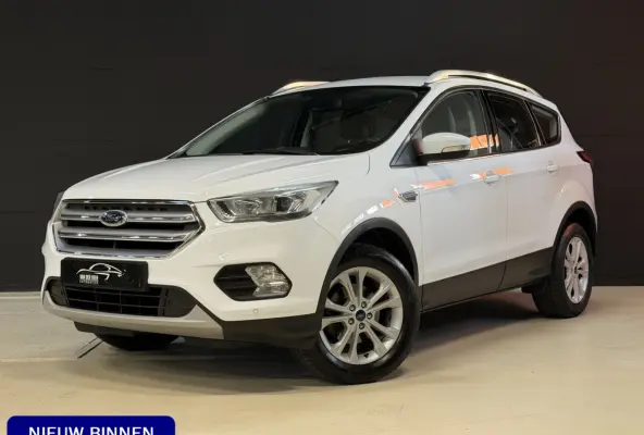 1.5 EcoBoost Titanium | Camera | Afn. trekhaak | Carplay | Keyless | Aut. inparkeren | Goed onderhouden