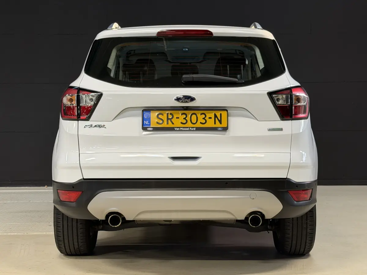 1.5 EcoBoost Titanium | Camera | Afn. trekhaak | Carplay | Keyless | Aut. inparkeren | Goed onderhouden