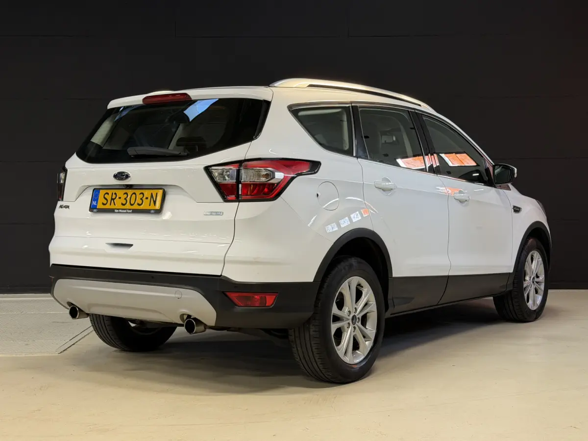 1.5 EcoBoost Titanium | Camera | Afn. trekhaak | Carplay | Keyless | Aut. inparkeren | Goed onderhouden