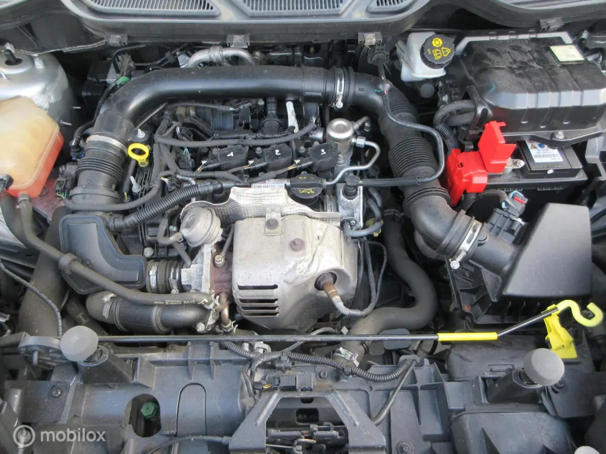 1.0 EcoBoost Trend 96dkm Hoge instap Airco Nw apk