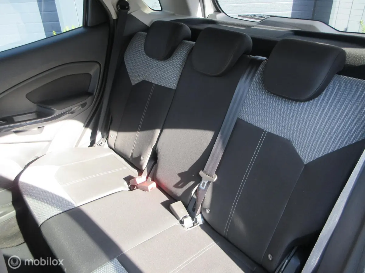1.0 EcoBoost Trend 96dkm Hoge instap Airco Nw apk