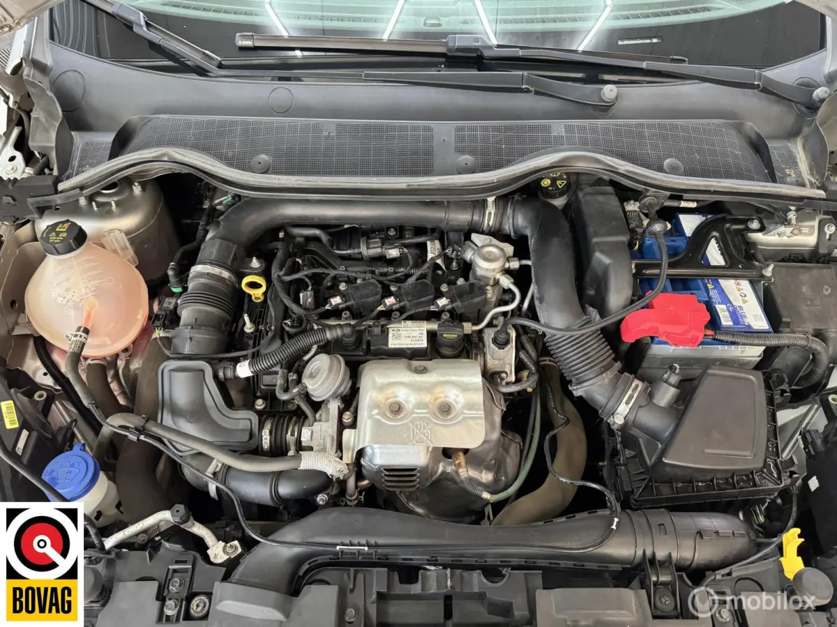 1.0 EcoBoost Connected