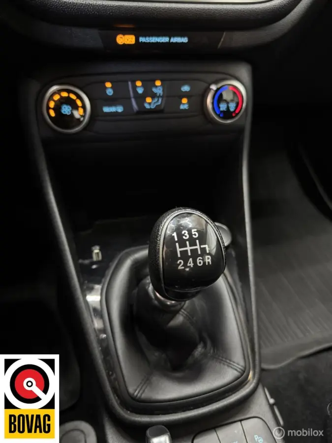 1.0 EcoBoost Connected