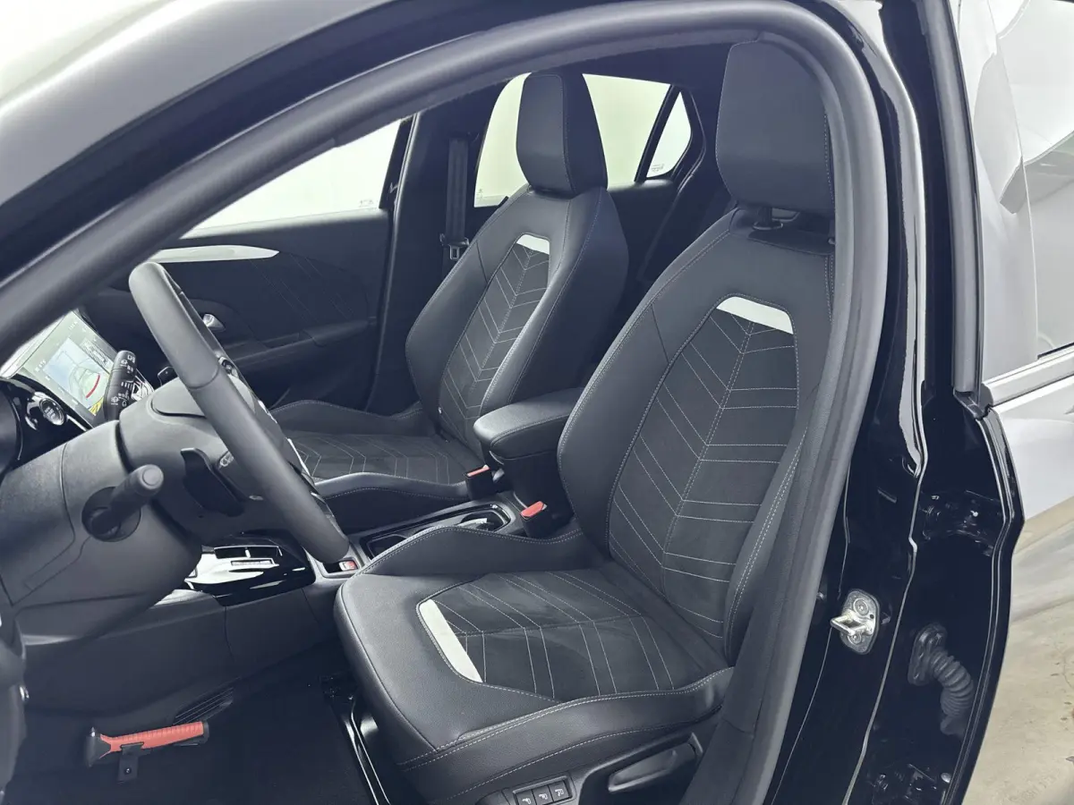 1.2 Turbo Hybrid GS | 1ste eigenaar | Dodehoekdetectie | Lichtmetalen velgen | Navigatie | Pack winter |