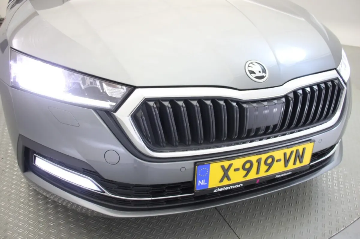 1.0 e-TSI Business Edition Plus - Panorama, Stoelverw. Afn. Trekhaak