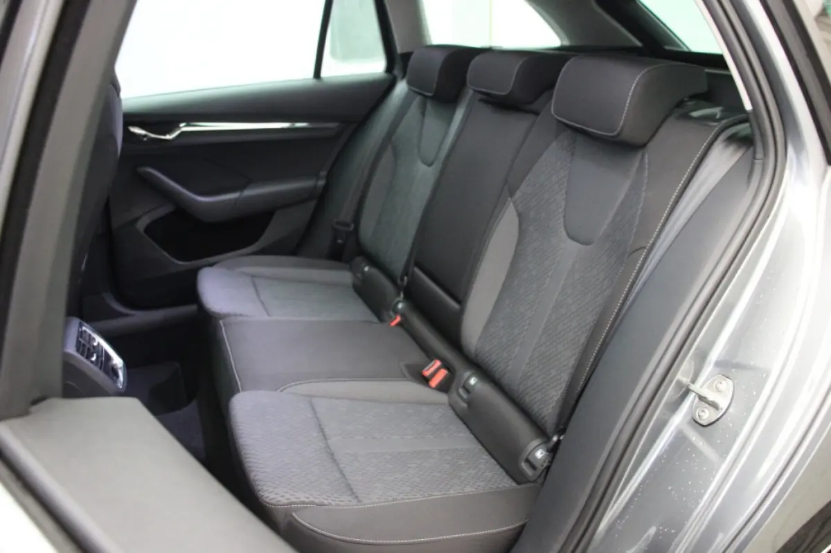 1.0 e-TSI Business Edition Plus - Panorama, Stoelverw. Afn. Trekhaak