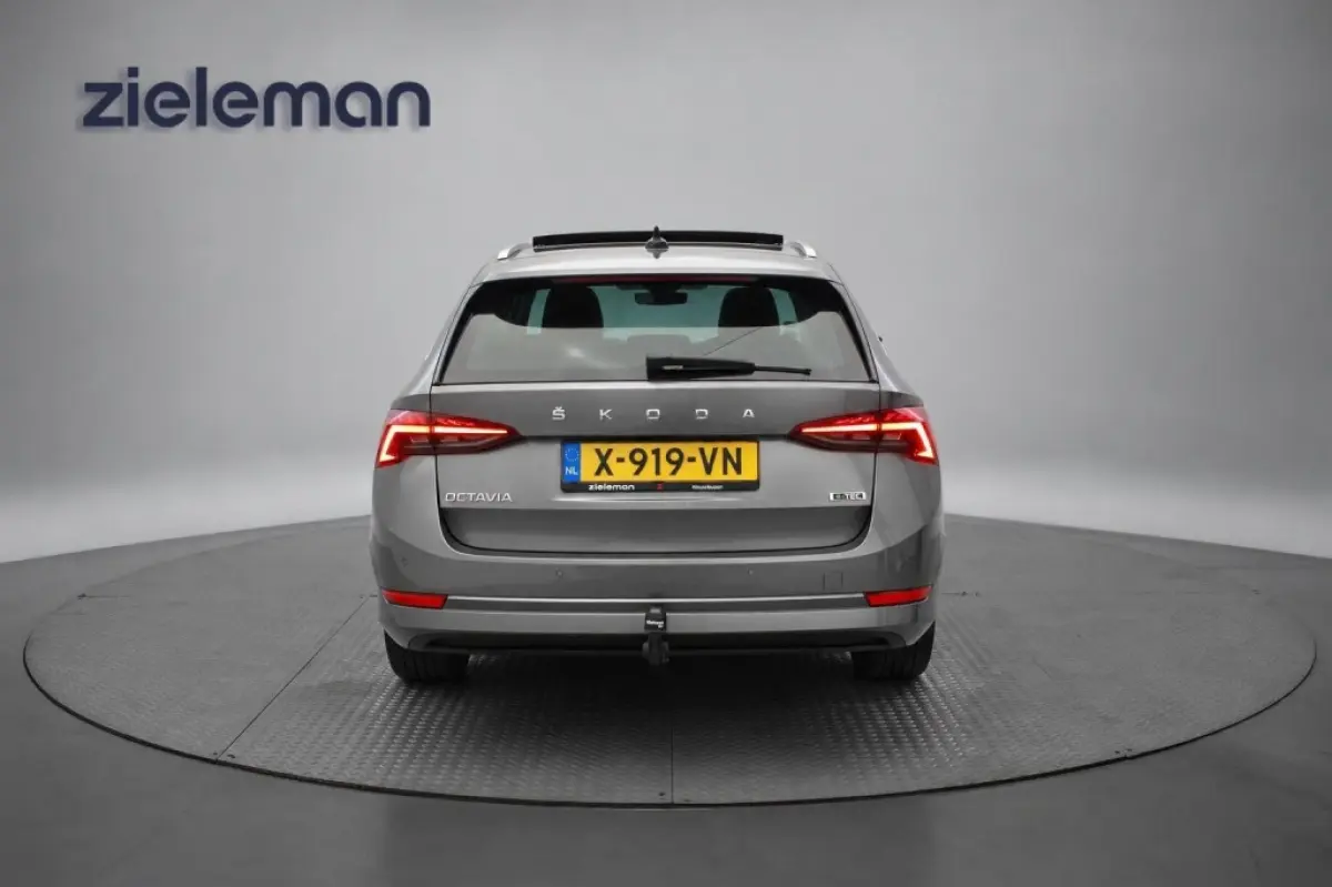 1.0 e-TSI Business Edition Plus - Panorama, Stoelverw. Afn. Trekhaak