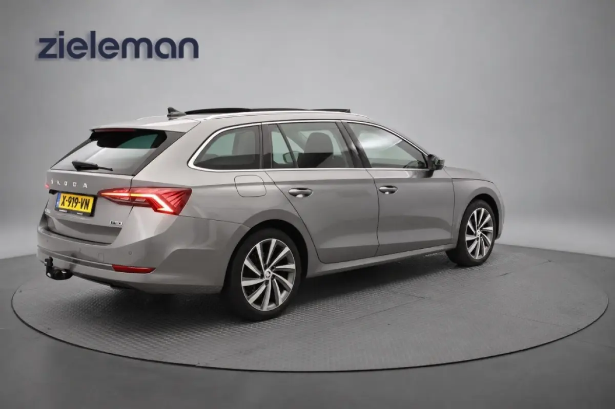 1.0 e-TSI Business Edition Plus - Panorama, Stoelverw. Afn. Trekhaak