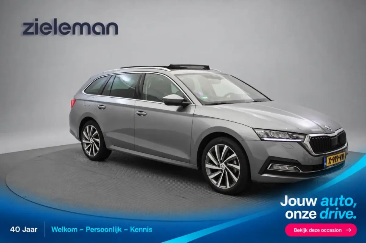 1.0 e-TSI Business Edition Plus - Panorama, Stoelverw. Afn. Trekhaak