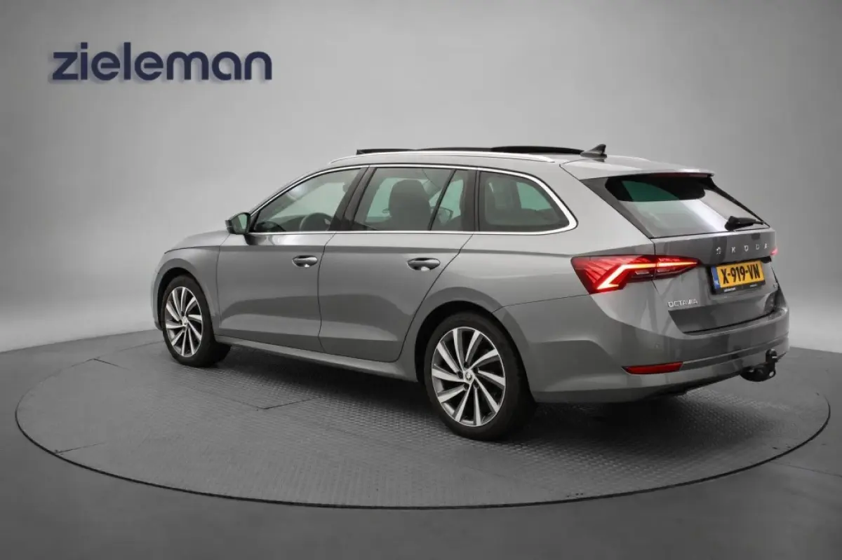 1.0 e-TSI Business Edition Plus - Panorama, Stoelverw. Afn. Trekhaak