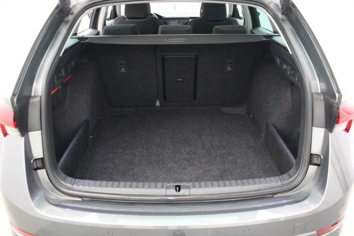 1.0 e-TSI Business Edition Plus - Panorama, Stoelverw. Afn. Trekhaak