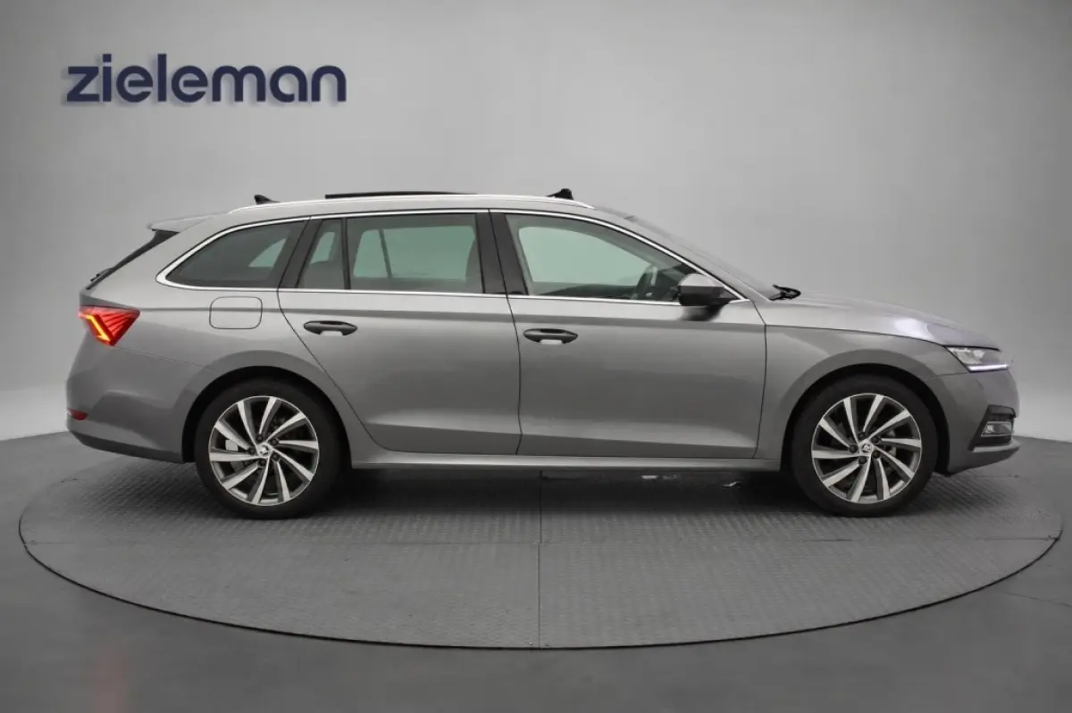 1.0 e-TSI Business Edition Plus - Panorama, Stoelverw. Afn. Trekhaak