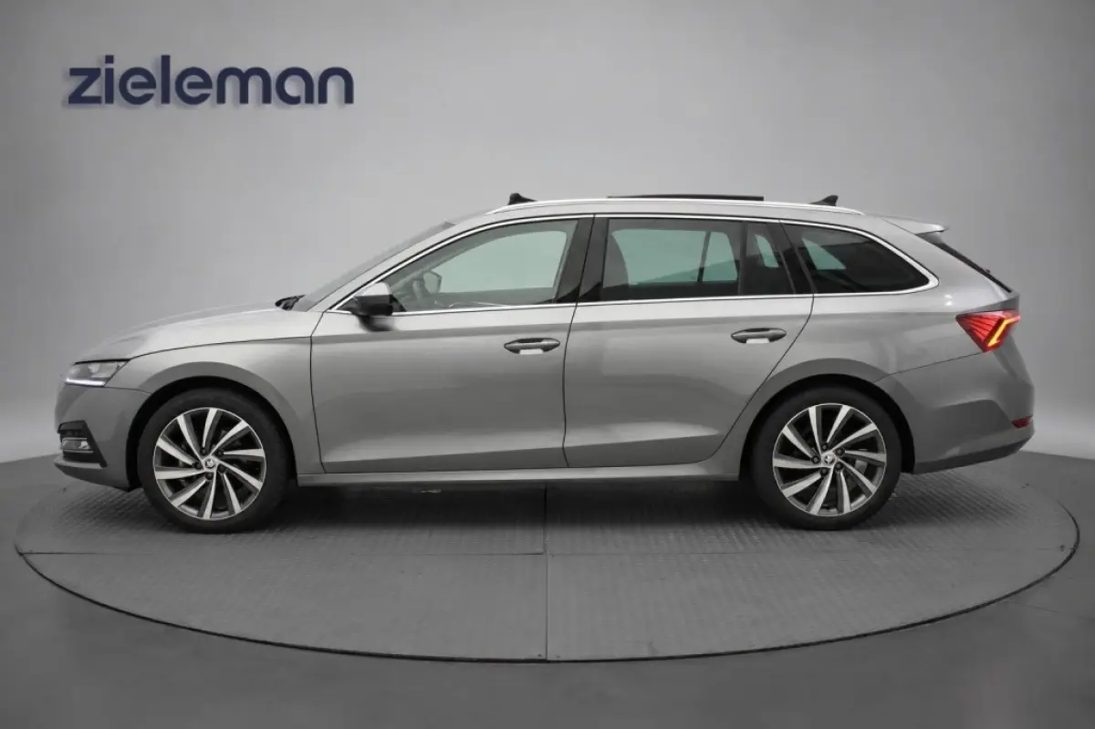 1.0 e-TSI Business Edition Plus - Panorama, Stoelverw. Afn. Trekhaak