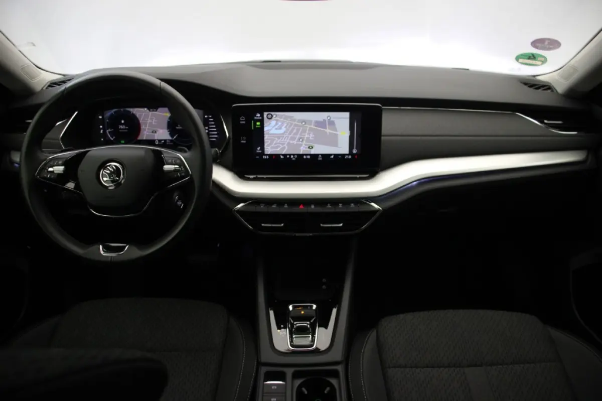 1.0 e-TSI Business Edition Plus - Panorama, Stoelverw. Afn. Trekhaak