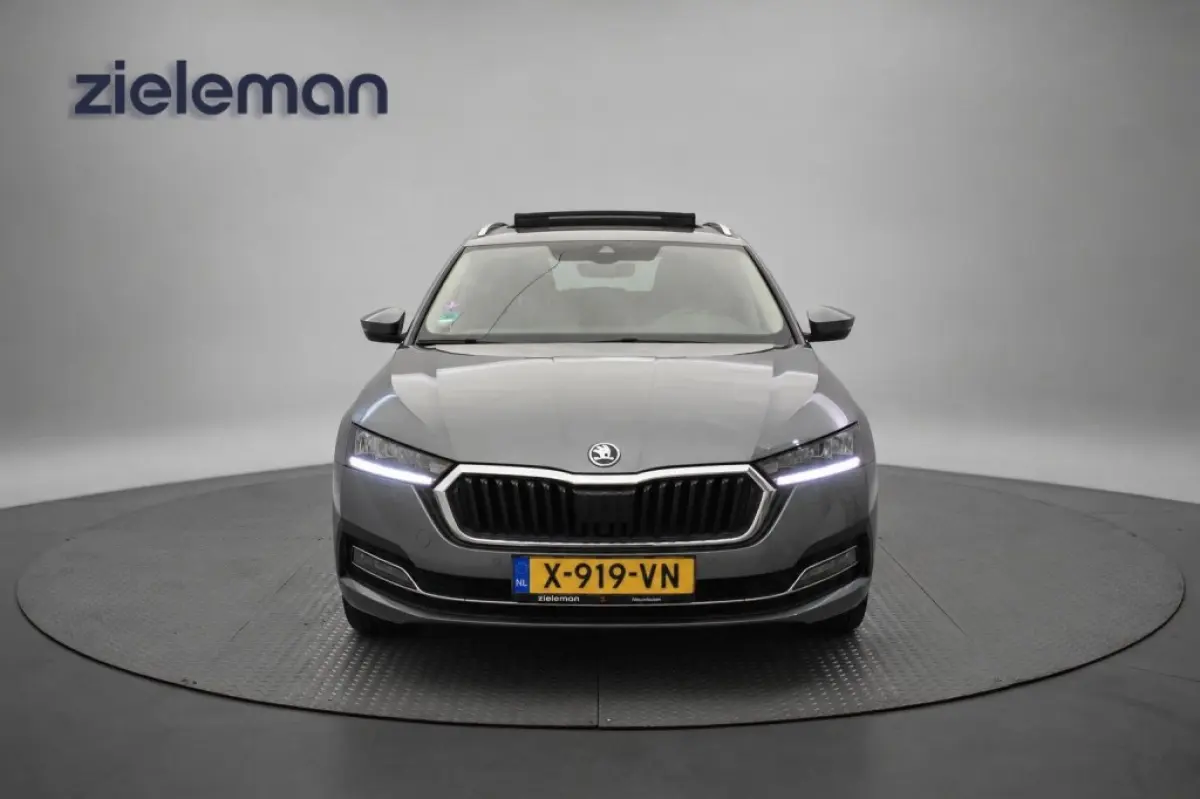 1.0 e-TSI Business Edition Plus - Panorama, Stoelverw. Afn. Trekhaak