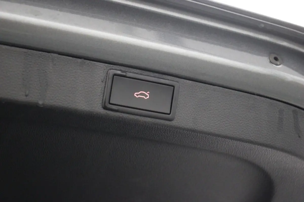 1.0 e-TSI Business Edition Plus - Panorama, Stoelverw. Afn. Trekhaak