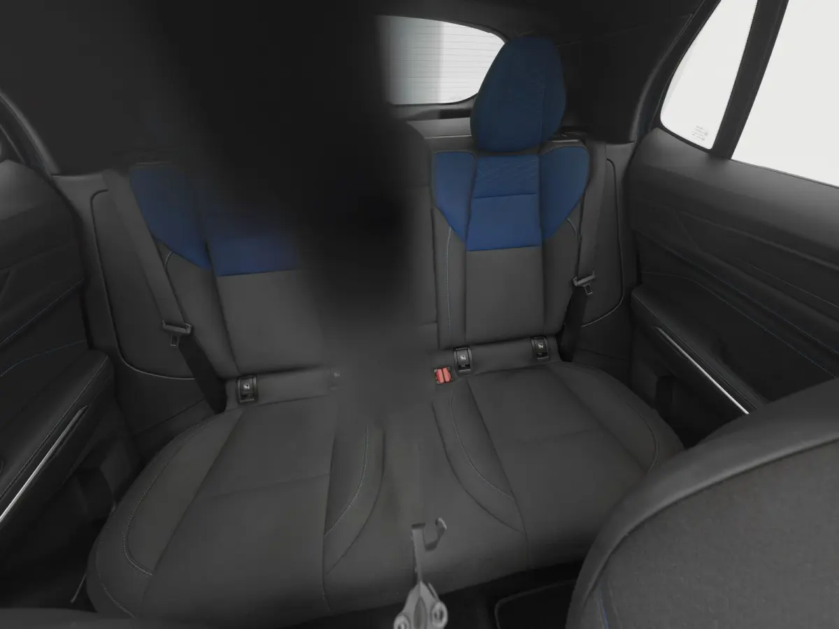 1.5 Plug-in Hybrid | 360° | BLACK | ZWARTE HEMEL | NLD AUTO
