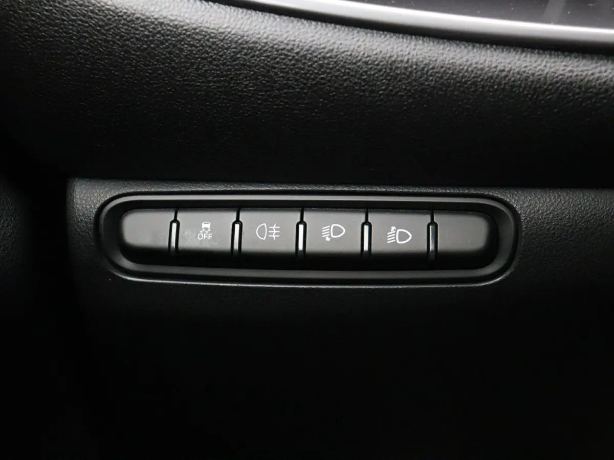Icon 42 kWh | Apple Carplay & Android Auto | 320km WLTP | 11kw Lader | SOH 97% |