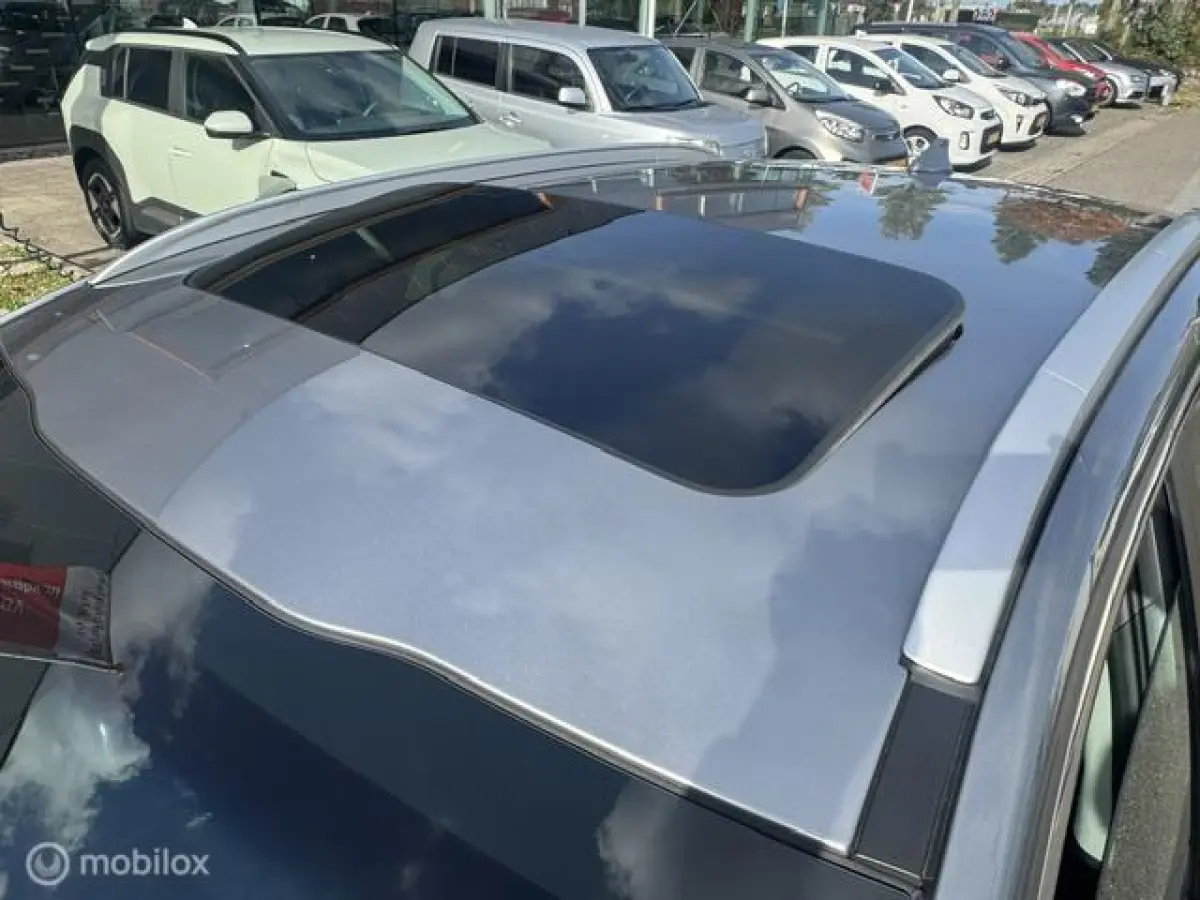 1.6 GDi Hybrid ExecutiveLine Schuif- kantel Dak , Stoel verwarming & verkoeling , stuur verwarmd, Parkeerhulp voor & achter , Navigatie , Camera , dodehoek detectie