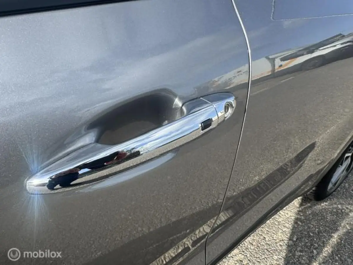 1.6 GDi Hybrid ExecutiveLine Schuif- kantel Dak , Stoel verwarming & verkoeling , stuur verwarmd, Parkeerhulp voor & achter , Navigatie , Camera , dodehoek detectie