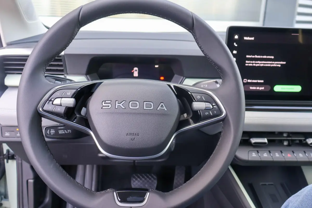 211pk Business Launch Edition 56 kWh | 19" Velgen | Trekhaak Afneembaar