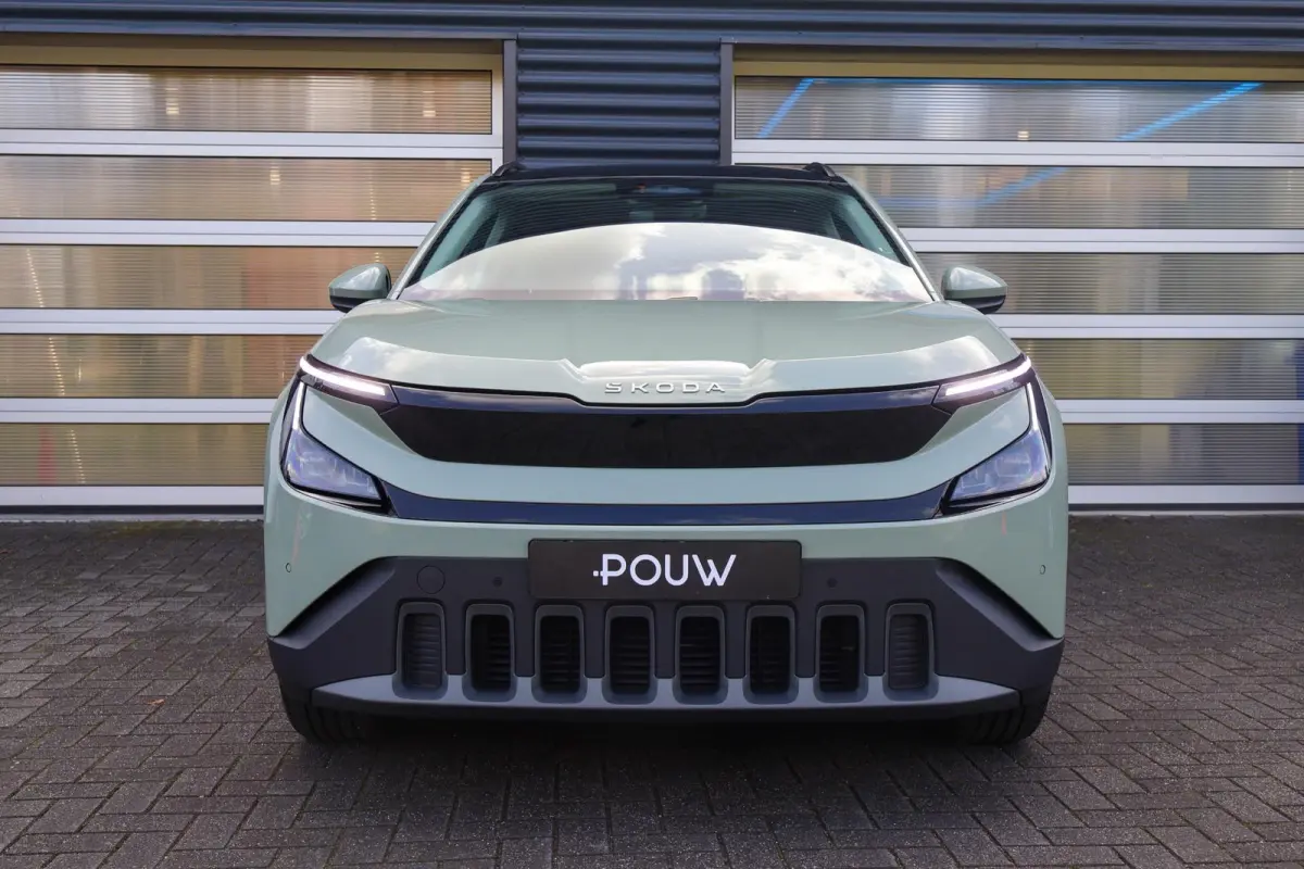 211pk Business Launch Edition 56 kWh | 19" Velgen | Trekhaak Afneembaar