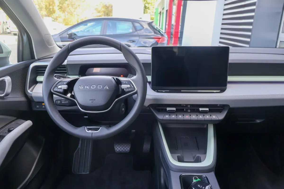 211pk Business Launch Edition 56 kWh | 19" Velgen | Trekhaak Afneembaar