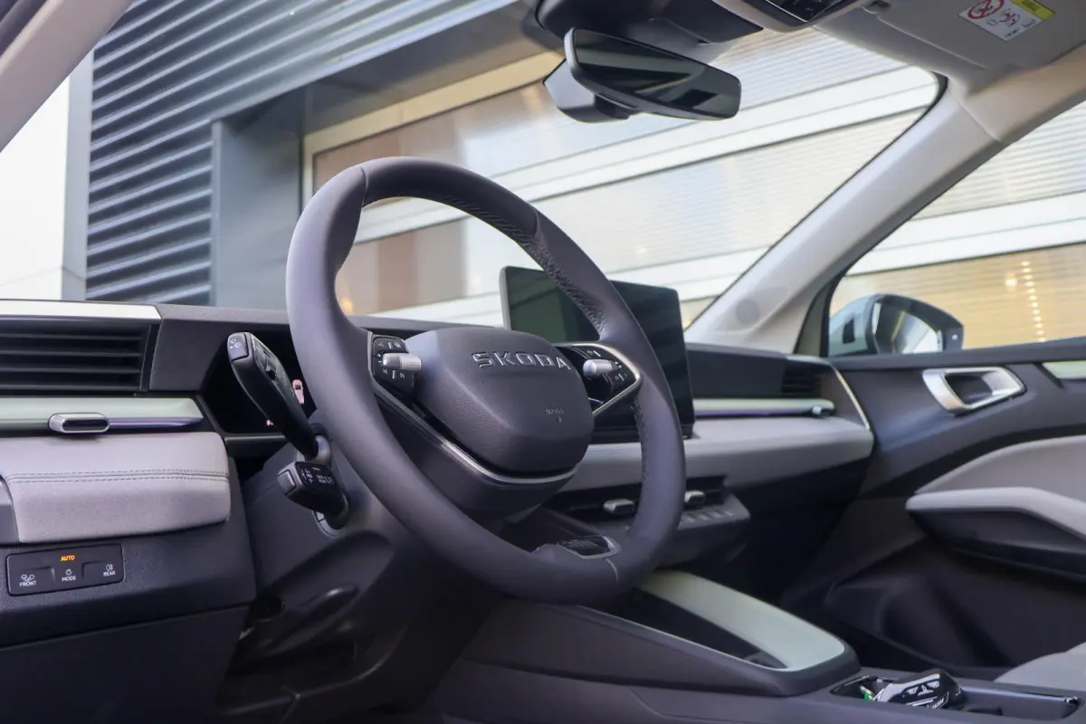 211pk Business Launch Edition 56 kWh | 19" Velgen | Trekhaak Afneembaar