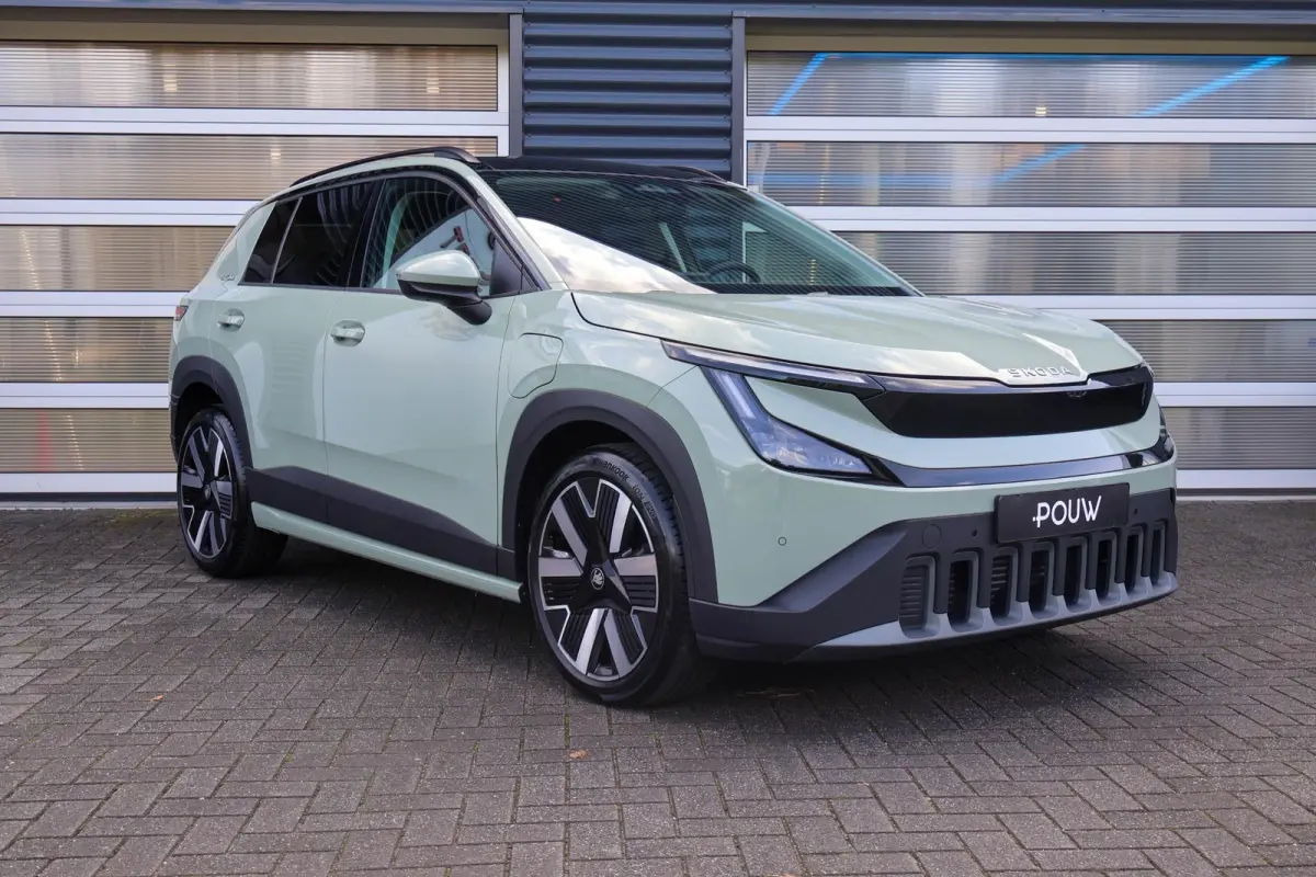 211pk Business Launch Edition 56 kWh | 19" Velgen | Trekhaak Afneembaar
