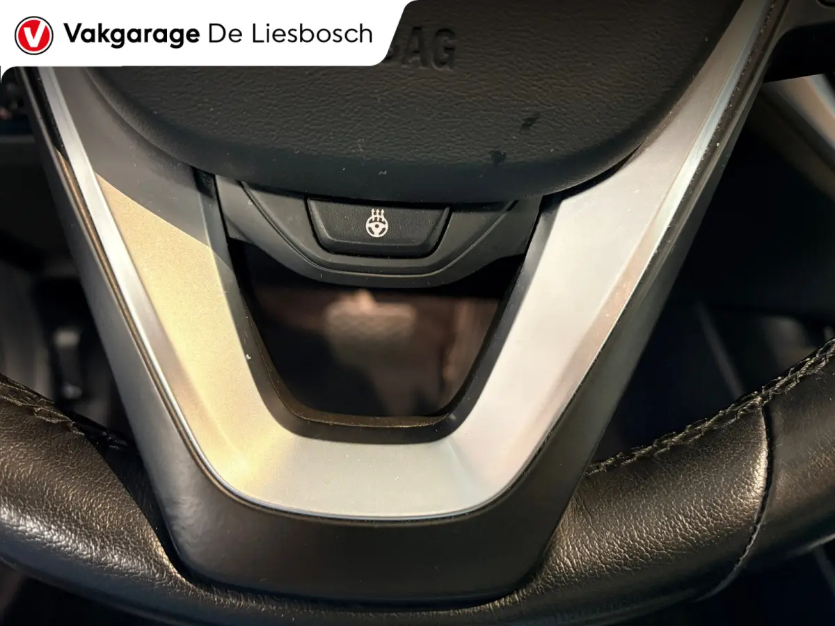 330e Business Edition Plus / trekhaak / sportstoelen / cruise