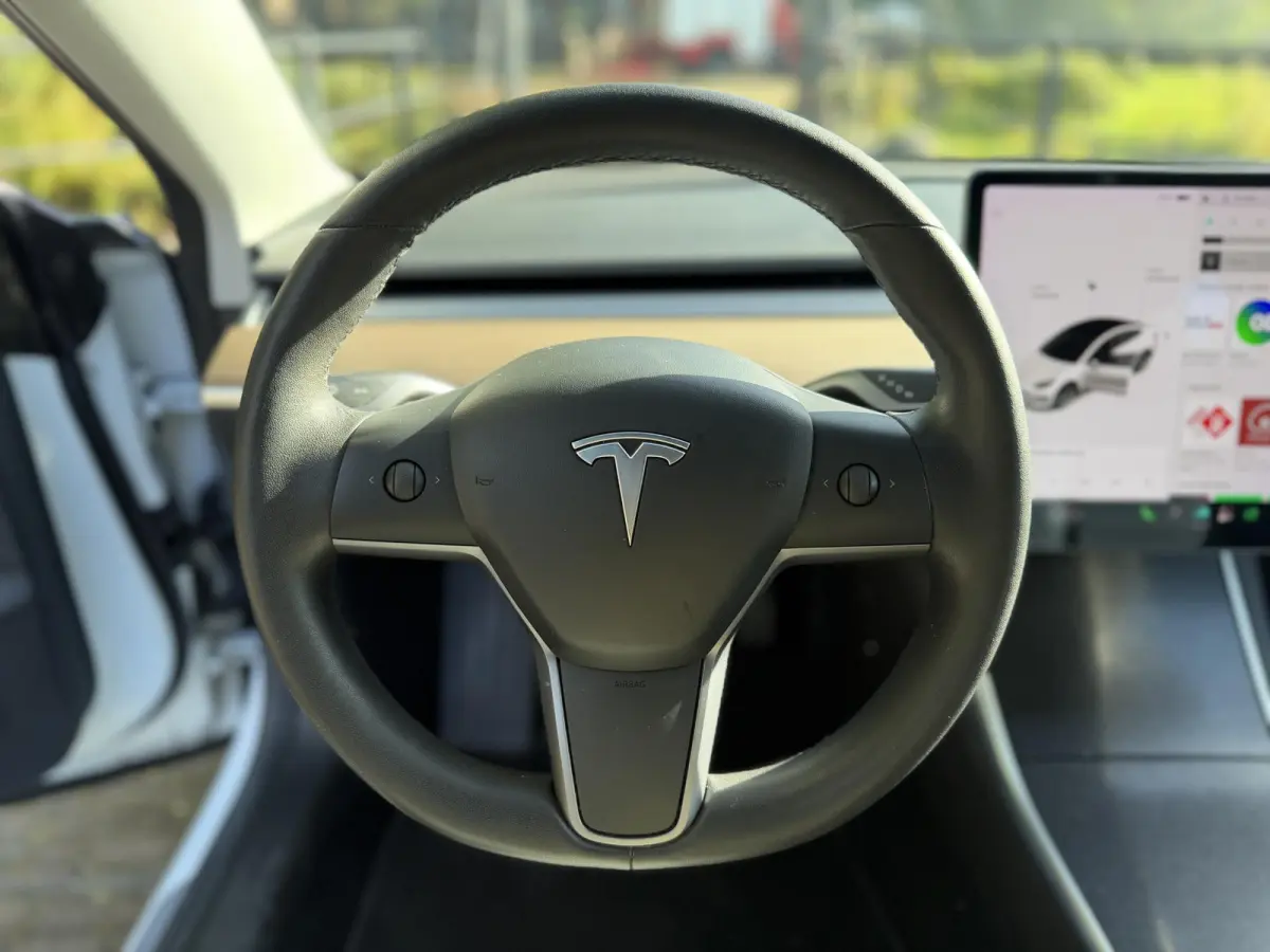 Long Range RWD 75 kWh | Nieuwstaat | Pano | SOH 86 % |