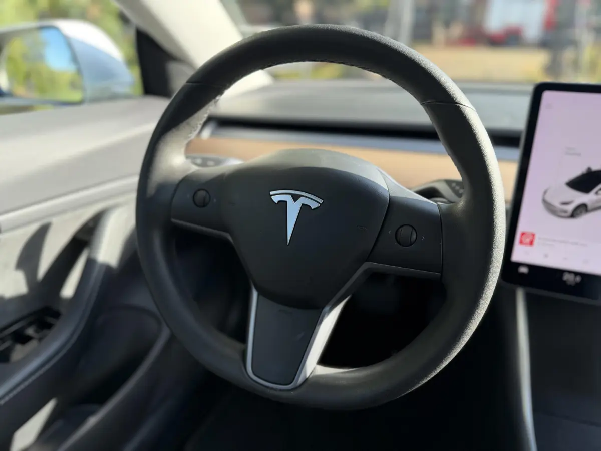 Long Range RWD 75 kWh | Nieuwstaat | Pano | SOH 86 % |