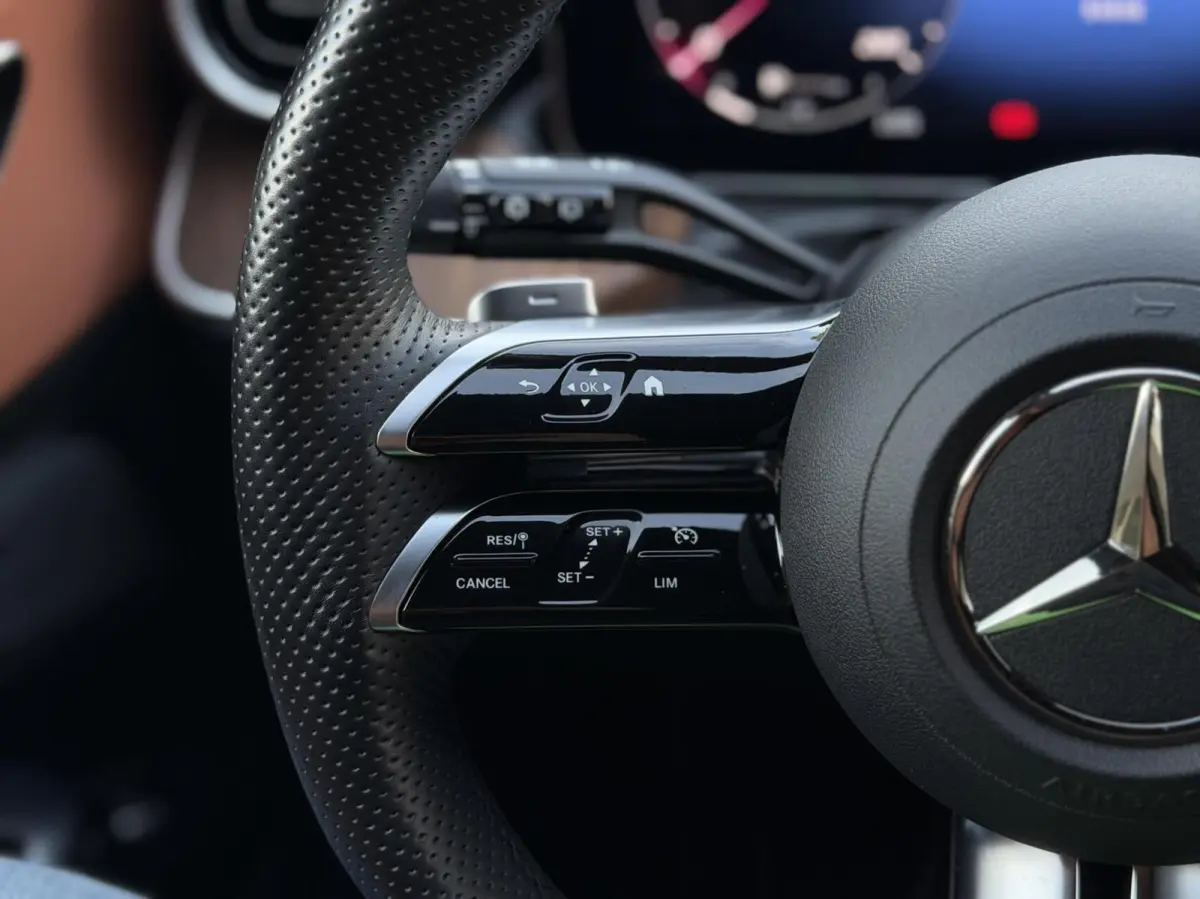300 e AMG Line Pano, Leer, Camera, LM..