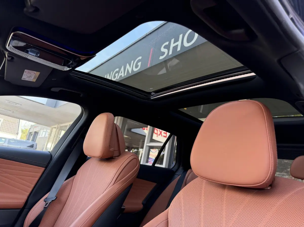 300 e AMG Line Pano, Leer, Camera, LM..