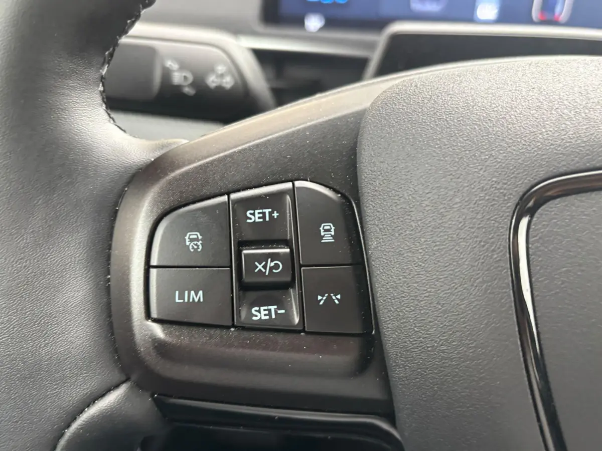 Standard RWD 75 kWh | Apple Carplay & Android Auto | Adaptive Cruise Control | Winter Pack | Dodehoekdetectie | One Pedal Drive | Parkeersensoren V & A met Camera |