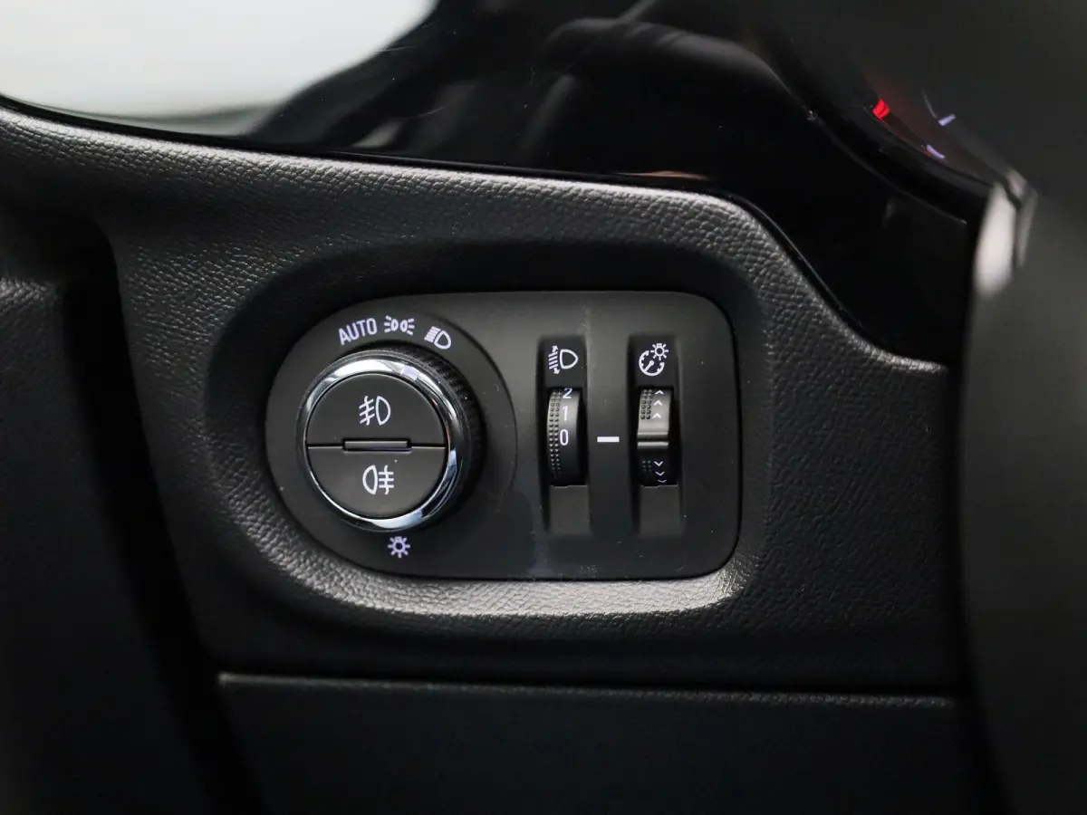1.2 Level 2 | Bluetooth | Apple Carplay / Android Auto | Cruise Control | Airco | DAB | Lichtmetalen Velgen |