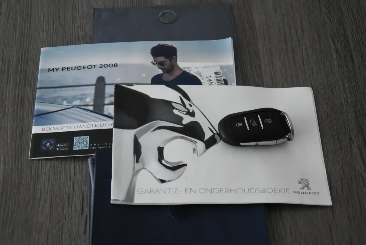 EV 50 kWh Navi Apple Cruise Dealer onderh NAP