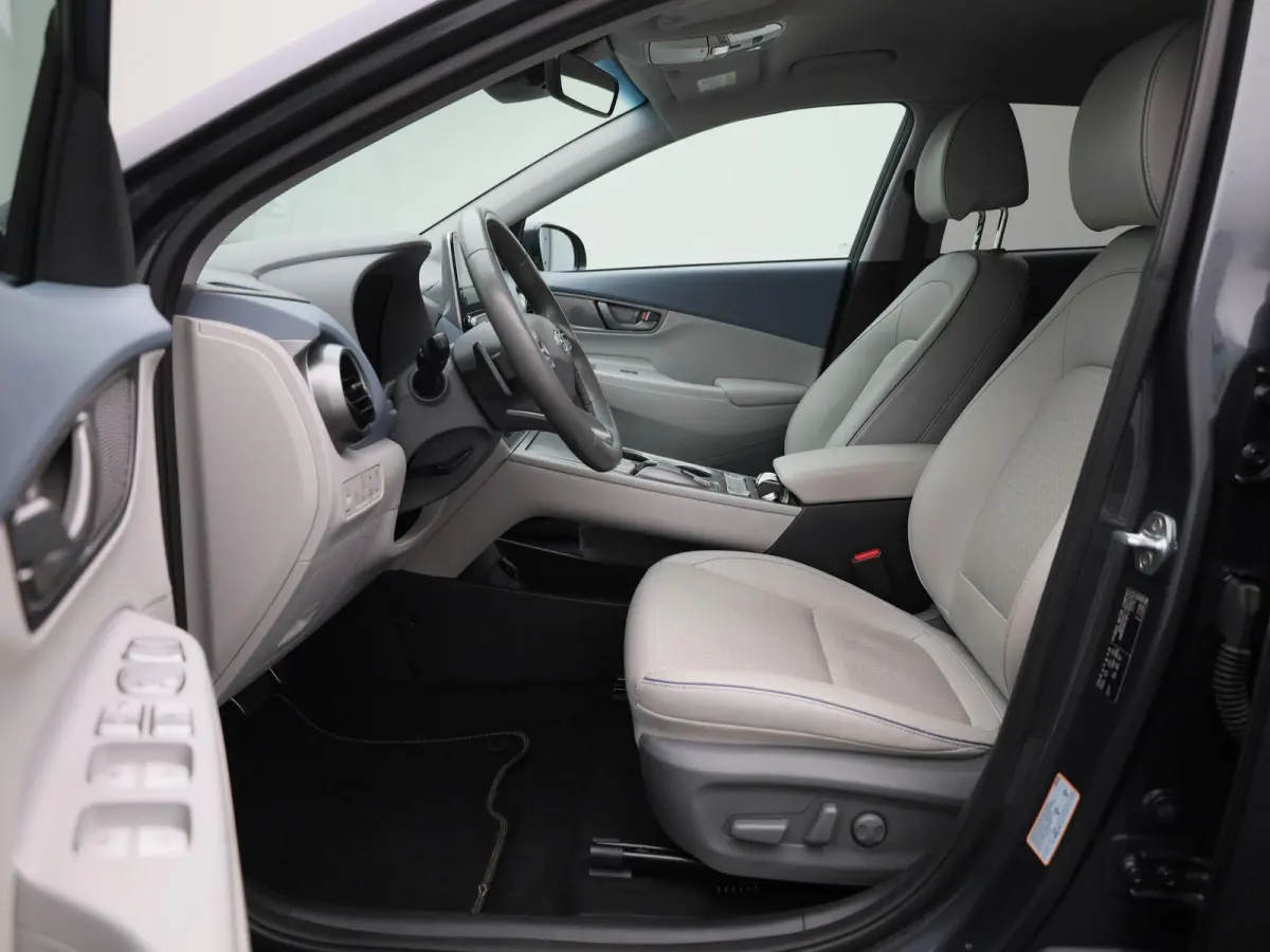 Sky 64kWh | Automaat | Navigatie | Heads-Up Display | KRELL Audio | Leder | Stoel/Stuur verwarming | Apple Carplay / Android Auto | Climate Control | Camera | Parkeersensoren | Cruise Contro