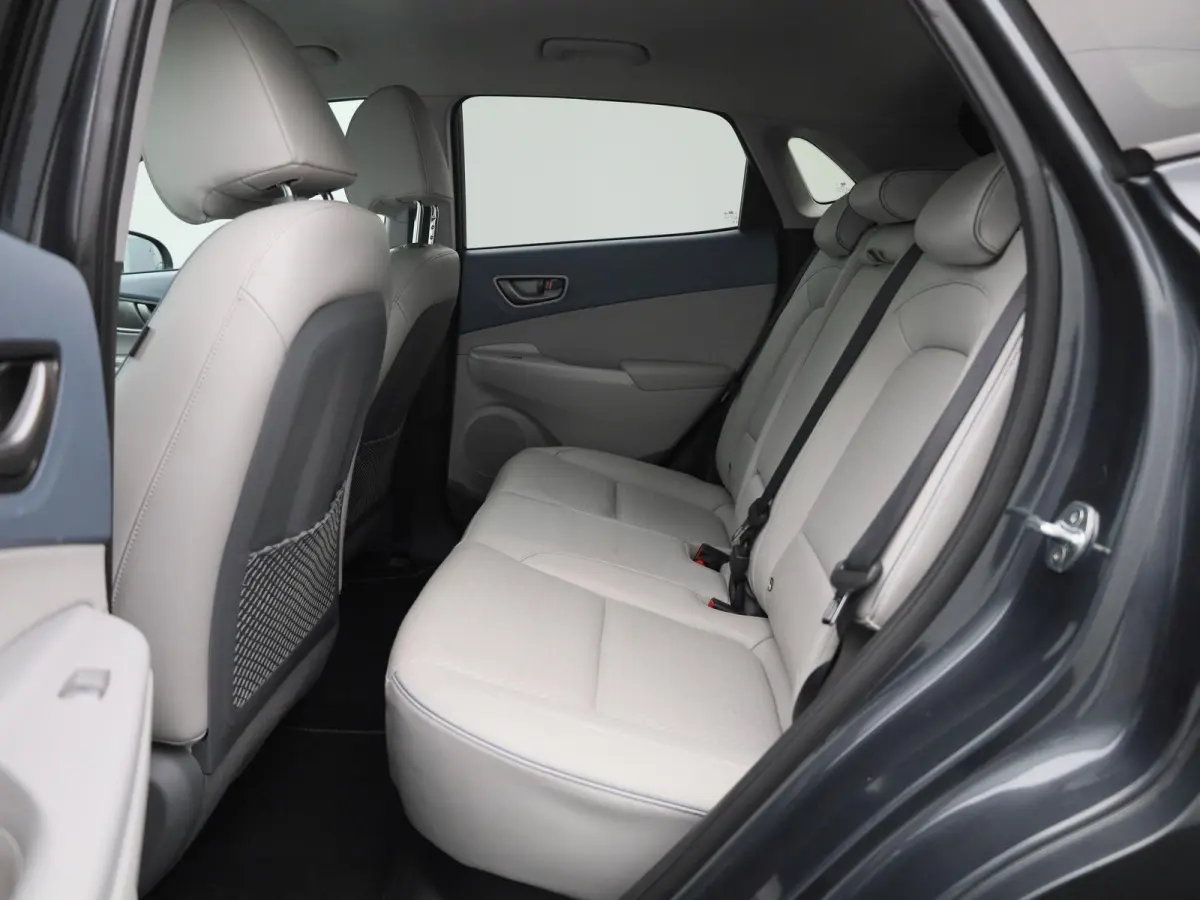 Sky 64kWh | Automaat | Navigatie | Heads-Up Display | KRELL Audio | Leder | Stoel/Stuur verwarming | Apple Carplay / Android Auto | Climate Control | Camera | Parkeersensoren | Cruise Contro