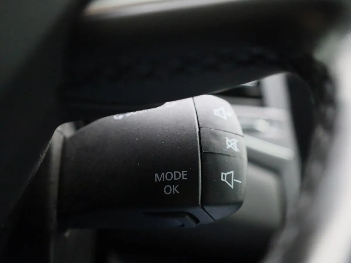 1.3 TCe Business Edition One | Trekhaak | Navigatie | Leder | Virtual cockpit | Apple Carplay / Android Auto | Camera | Climate Control | Climate control | Stoel / Stuur verwarming | Lichtme