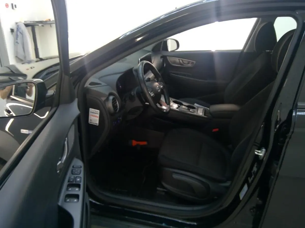 EV COMFORT 64 kWh (100% SOH) I 3-FASE LADEN I CLIMATE CONTROL I APPLE CARPLAY I P-CAMERA