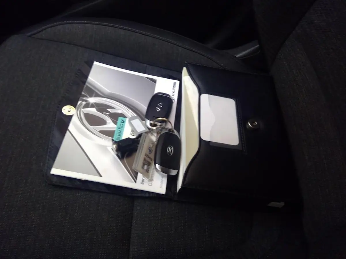 EV COMFORT 64 kWh (100% SOH) I 3-FASE LADEN I CLIMATE CONTROL I APPLE CARPLAY I P-CAMERA