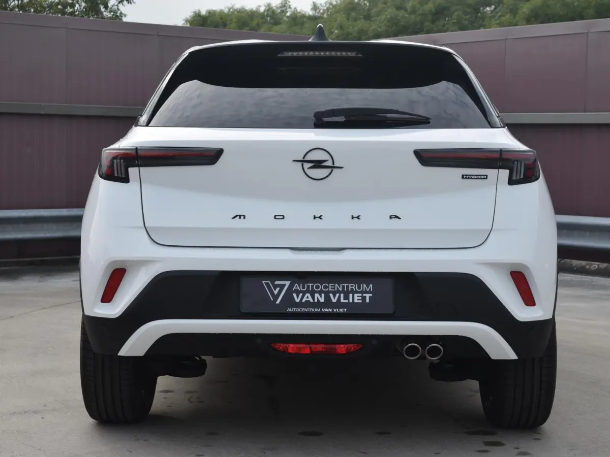 1.2 Turbo Hybrid Business Edition UIT VOORRAAD LEVERBAAR
