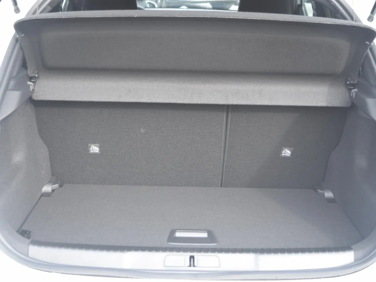 1.2 Turbo Hybrid Business Edition UIT VOORRAAD LEVERBAAR
