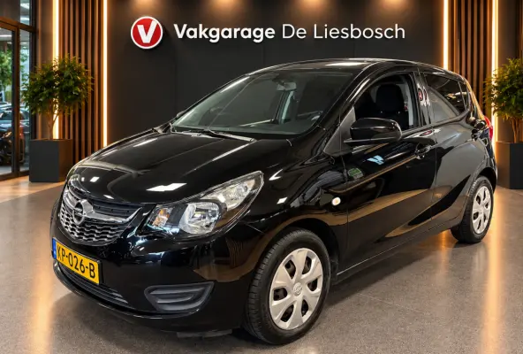 1.0 ecoFLEX Edition/airco/cruise control/pdc/boeken/net beurt gehad