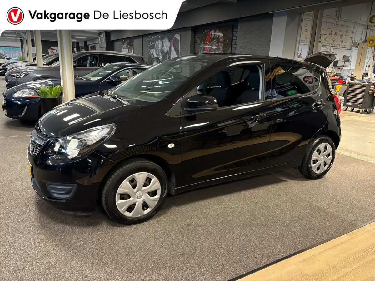 1.0 ecoFLEX Edition/airco/cruise control/pdc/boeken/net beurt gehad