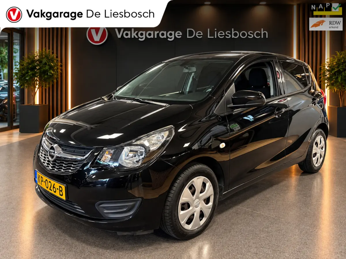 1.0 ecoFLEX Edition/airco/cruise control/pdc/boeken/net beurt gehad
