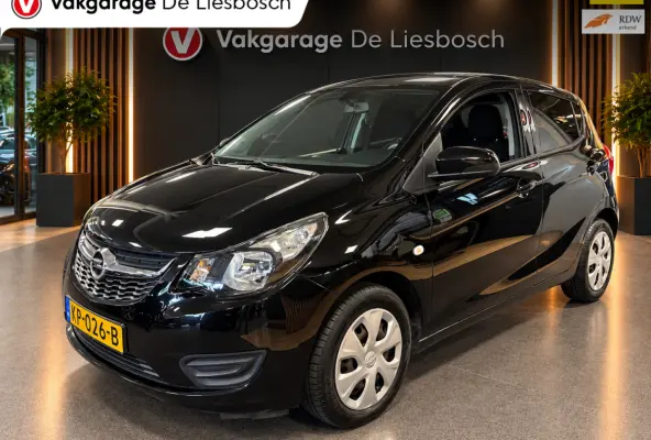 1.0 ecoFLEX Edition/airco/cruise control/pdc/boeken/net beurt gehad