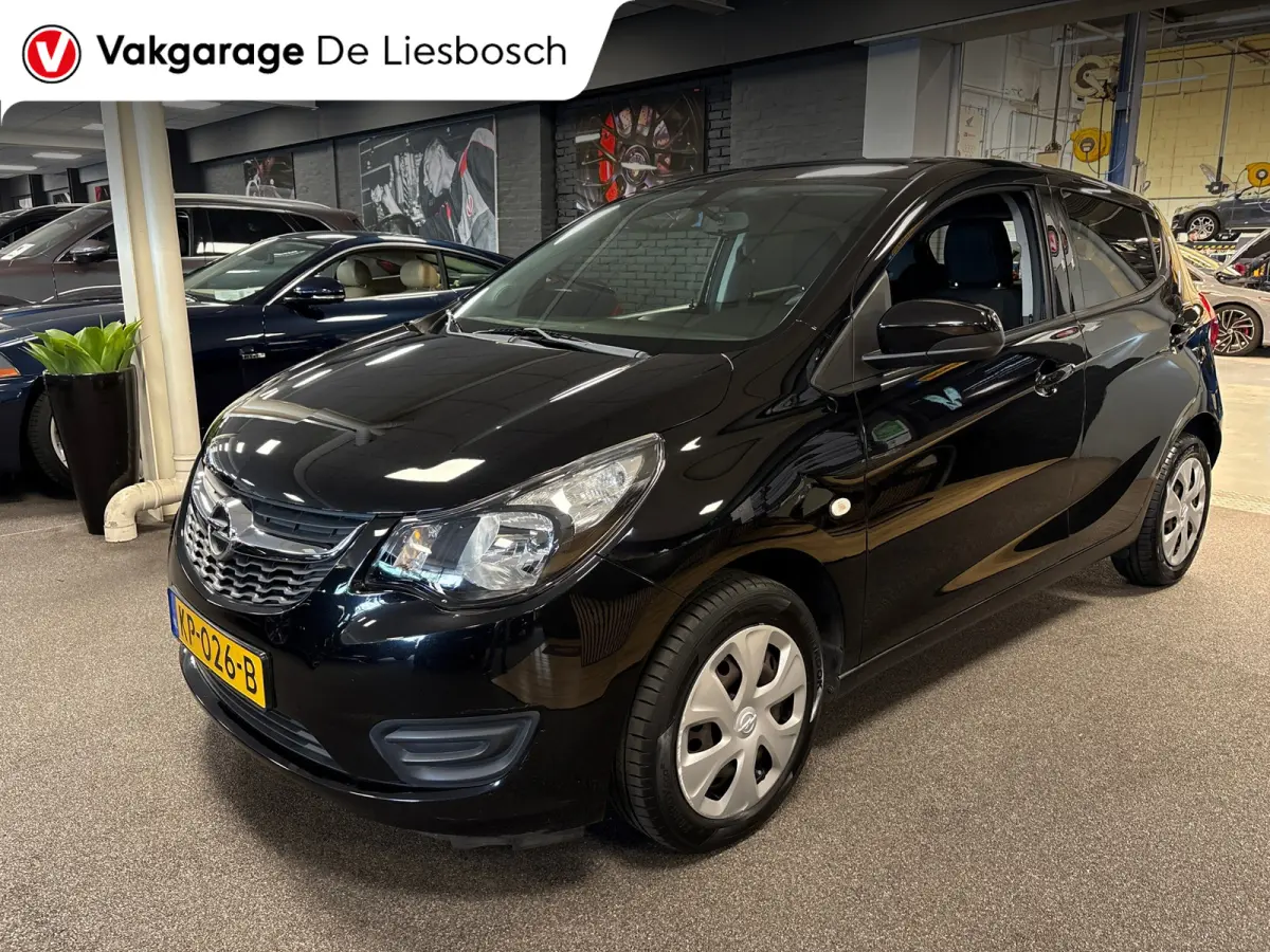 1.0 ecoFLEX Edition/airco/cruise control/pdc/boeken/net beurt gehad